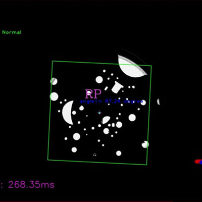 Robot Visual Module